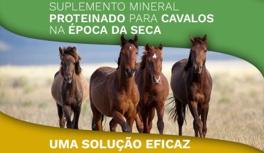 Suplemento Mineral Proteinado para Cavalos na Época da Seca: Uma Solução Eficaz