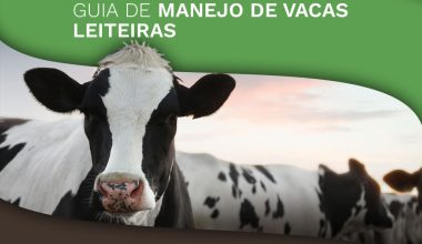 Guia de Manejo de Vacas Leiteiras: Como Aumentar a Produção de Leite e Manter a Saúde do Rebanho