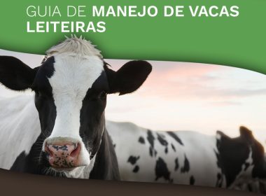 Guia de Manejo de Vacas Leiteiras: Como Aumentar a Produção de Leite e Manter a Saúde do Rebanho